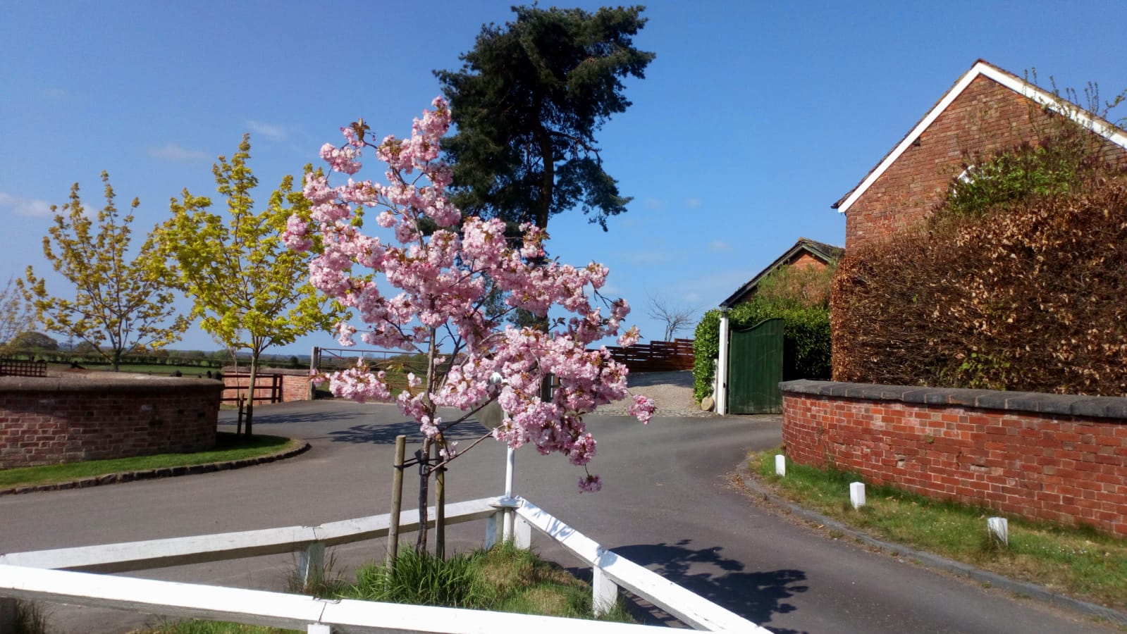 A pleasant view in Hall Lane April 20th (photo by Ian Jones)
